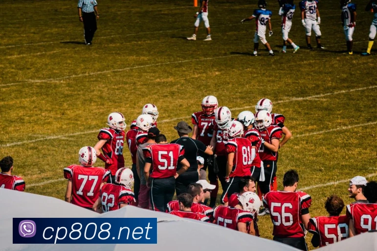 赛事专题整合